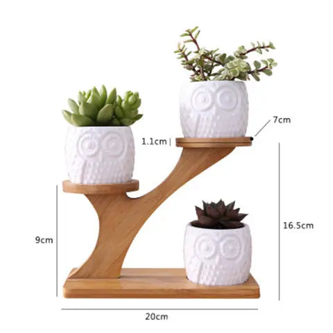 20cm 3-Tier Ceramic Owl Succulent Pot Set with 16.5cm Bamboo Stand – Creative Multi-Level Desktop Planter