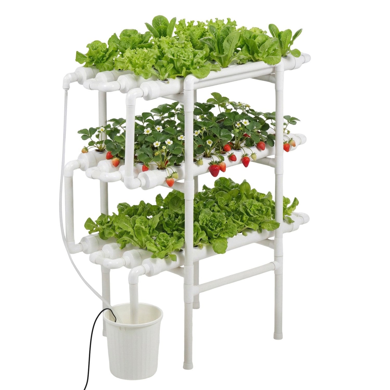 Hydroponics-USA