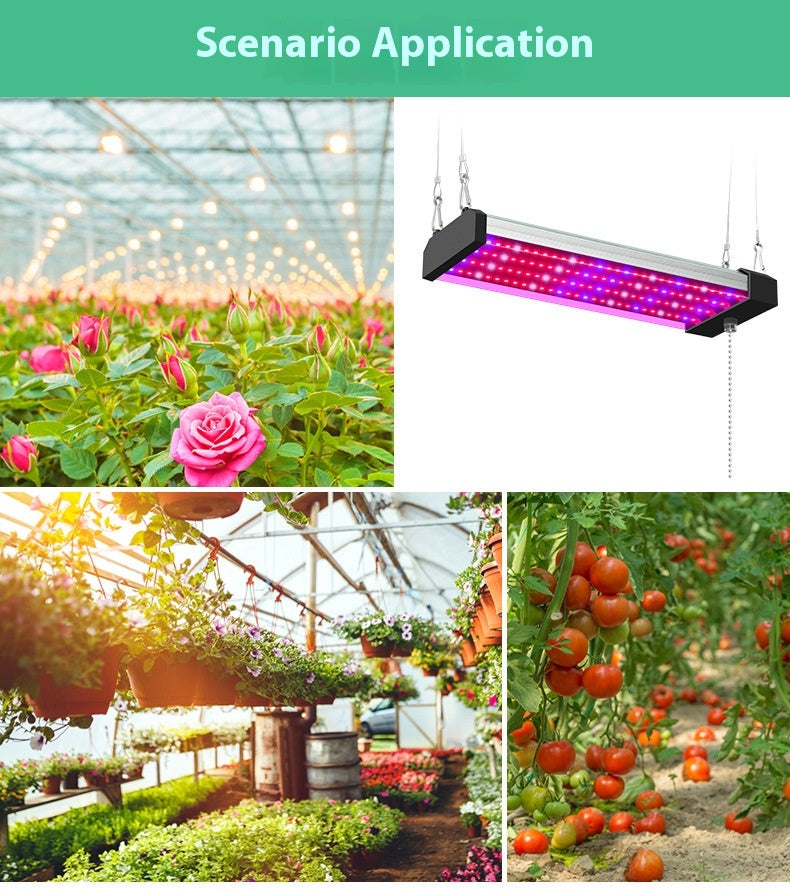 Full Spectrum LED Grow Light Bar for Succulents & Indoor Plants