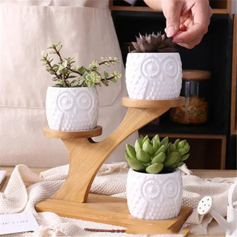 20cm 3-Tier Ceramic Owl Succulent Pot Set with 16.5cm Bamboo Stand – Creative Multi-Level Desktop Planter