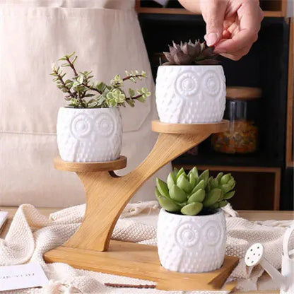 20cm 3-Tier Ceramic Owl Succulent Pot Set with 16.5cm Bamboo Stand – Creative Multi-Level Desktop Planter