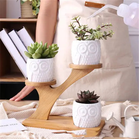20cm 3-Tier Ceramic Owl Succulent Pot Set with 16.5cm Bamboo Stand – Creative Multi-Level Desktop Planter