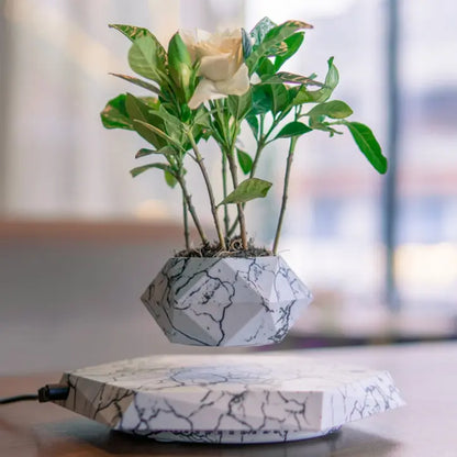 Magnetic Levitating Plant Pot – 360° Floating Bonsai Planter with Marble Finish