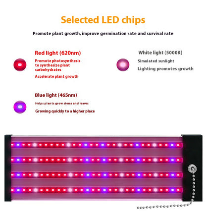 Full Spectrum LED Grow Light Bar for Succulents & Indoor Plants