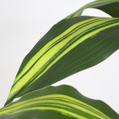 5ft Artificial Dracaena Tree with Black Pot – Faux Indoor Plant