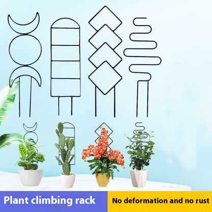 iron-plant-trellis-bracket-4-shapes-comparison-soilmate