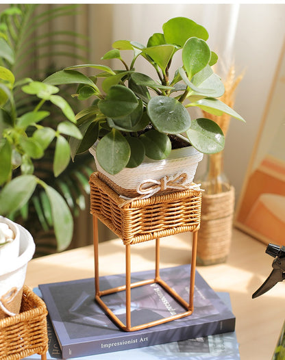 Rattan Plant Stand – Woven Succulent & Flower Pot Holder in 3 Sizes