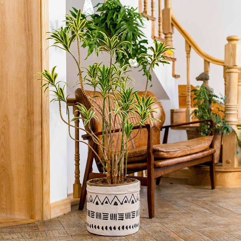 Retro Crystal Floor Planter with Drainage Holes