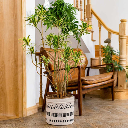 Retro Crystal Floor Planter with Drainage Holes