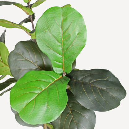 7ft Artificial Fiddle Leaf Fig Tree with Black Pot – Tall Faux Indoor Plant