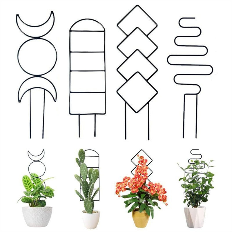 Black iron S-wave plant climbing support bracket with trailing green plant indoor pot display – SoilMate Collective